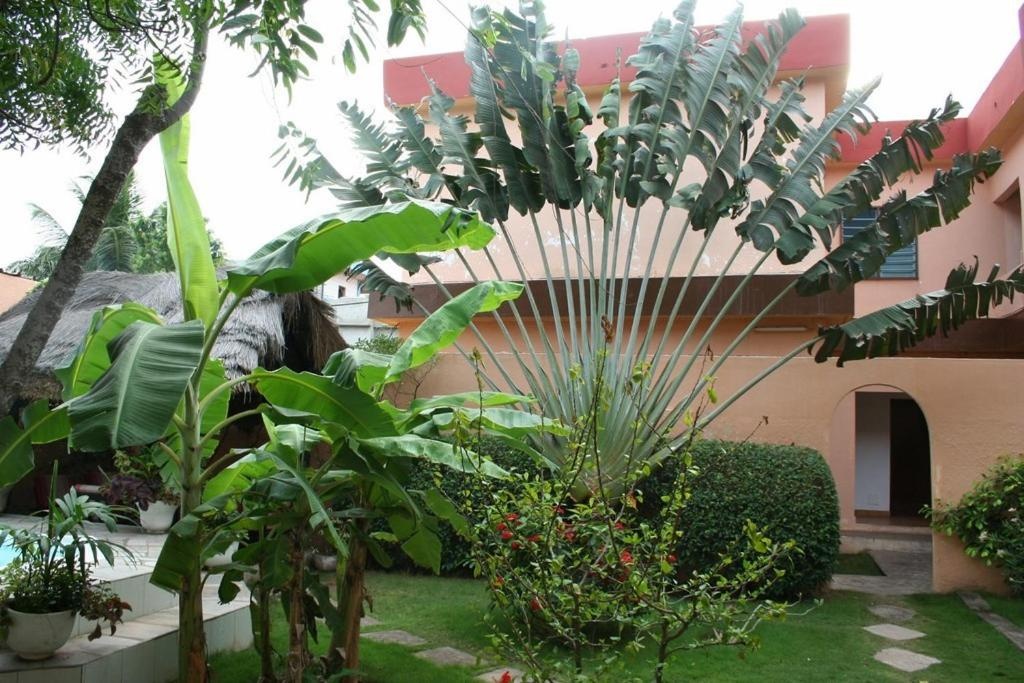 Hotel Aurore Lome  Facilities  Garden 15