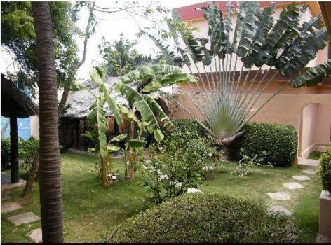 Hotel Aurore Lome  Facilities  Garden 21