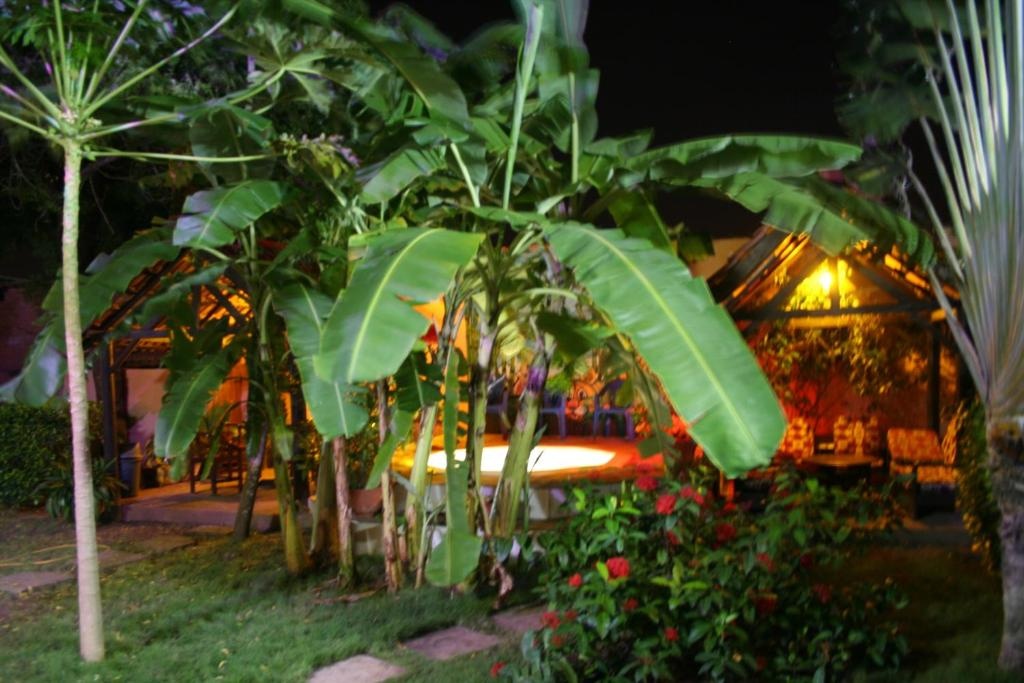 Hotel Aurore Lome  Facilities  Garden 9