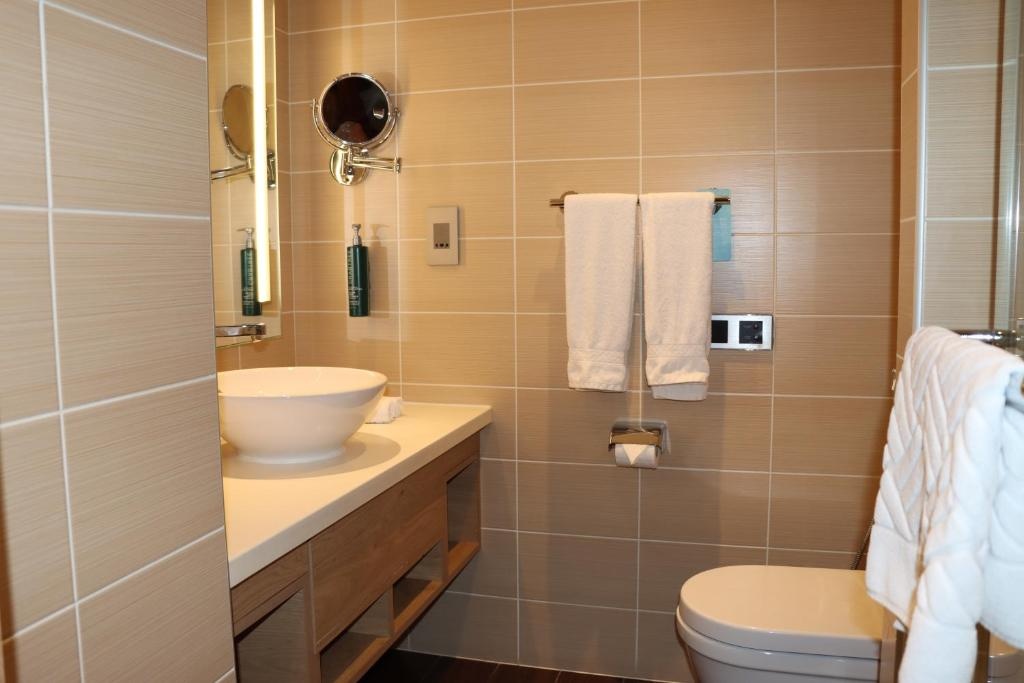 Hilton Garden Inn Dubai Mall Avenue  Facilities  Bathroom 19