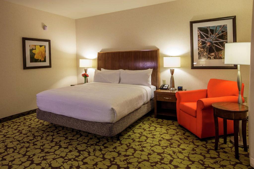 1 King Bed 1 Bedroom Suite