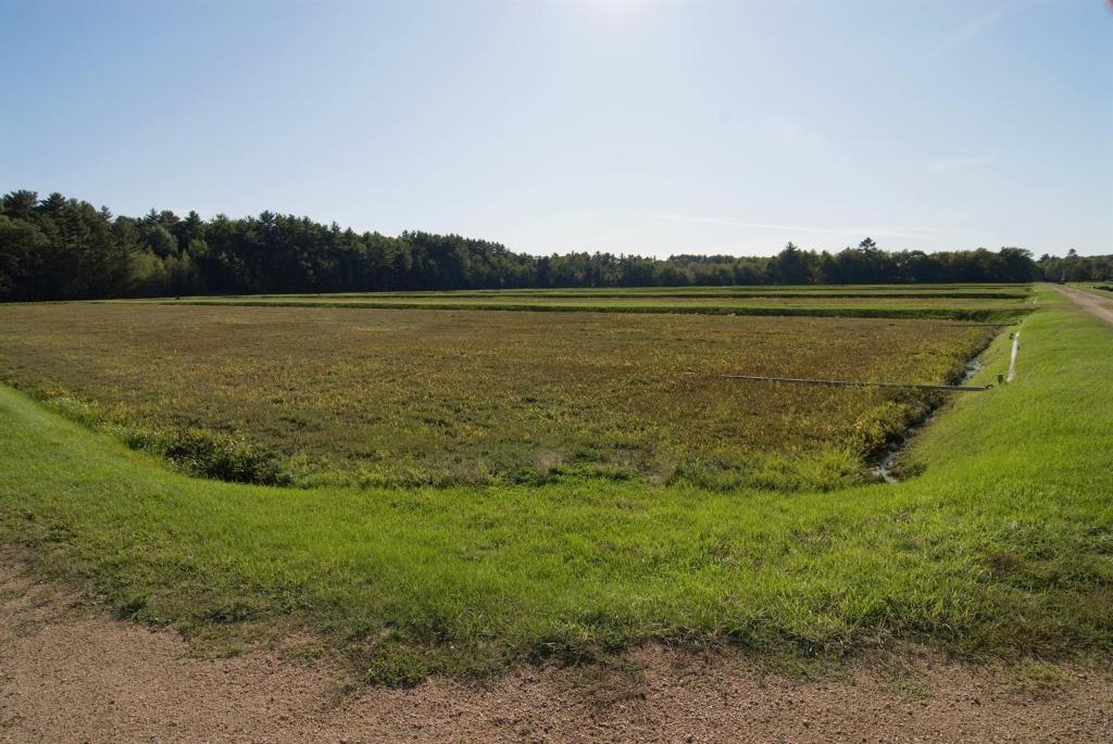 Wisconsin Rapids  Facilities  Surrounding Environment 1