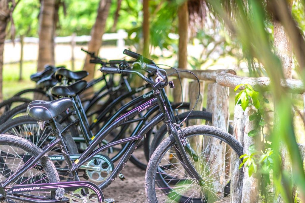 Ratua Private Island Resort  Facilities  Sports And Activities 76