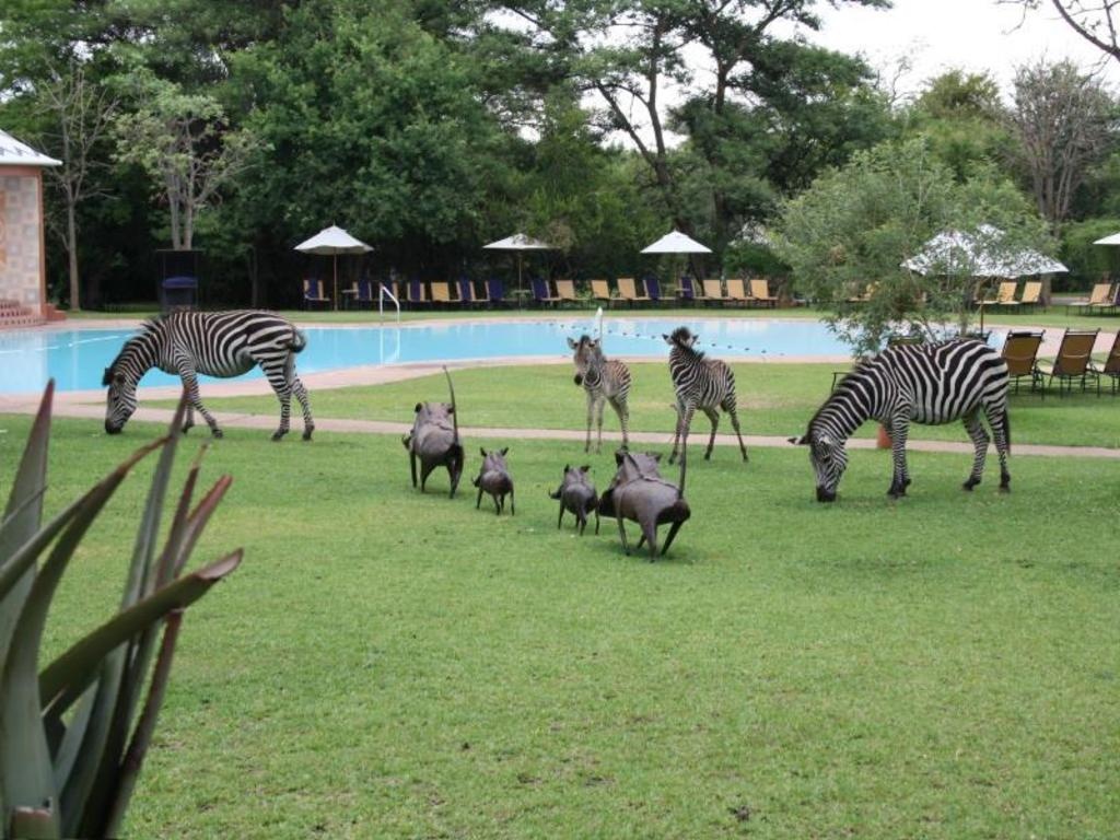 Cresta Golfview Hotel  Facilities  Swimming Pool 18