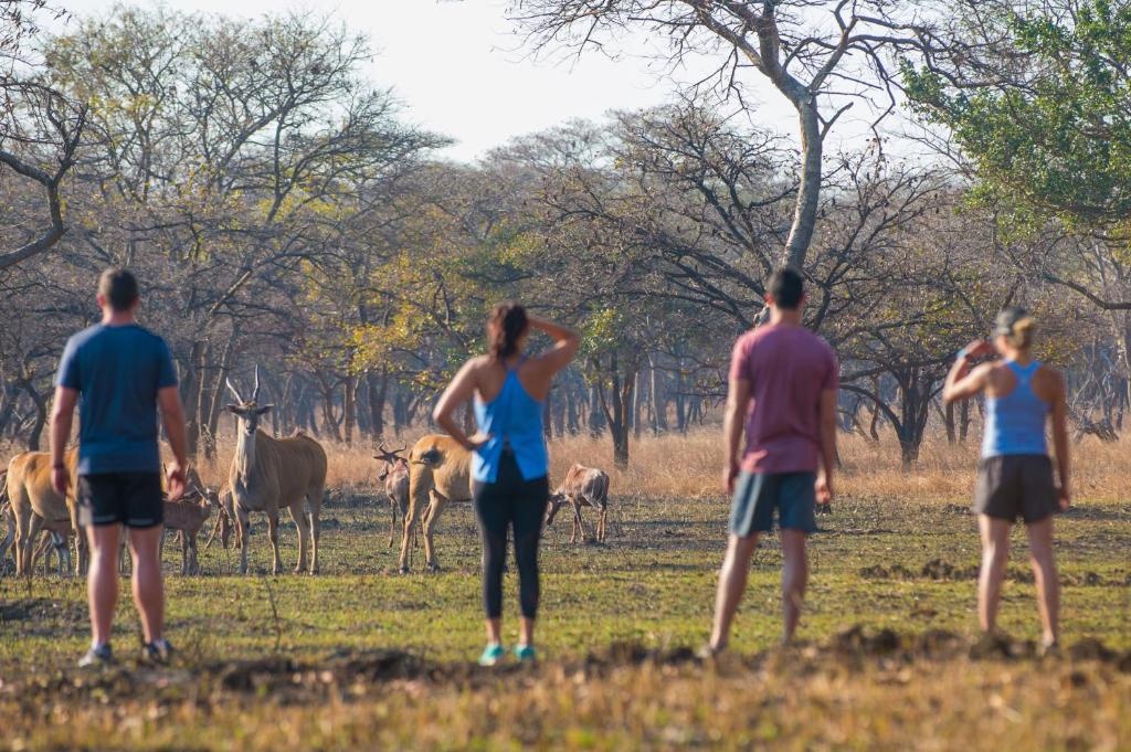 Lilayi Lodge  Facilities  Attractions 64