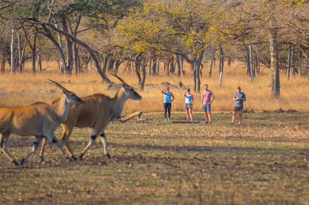 Lilayi Lodge  Facilities  Sports And Activities 58