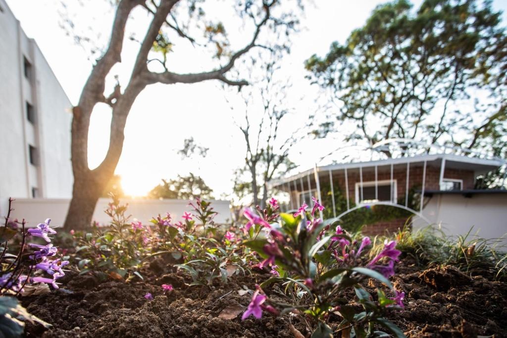 Southern Sun Ridgeway Lusaka  Facilities  Garden 29